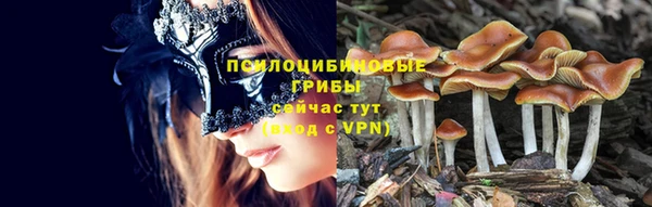 твердый Богородицк