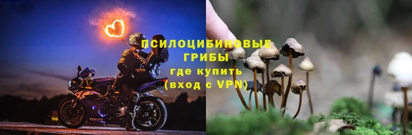 прущая мука Богданович