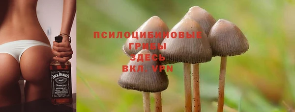 прущая мука Богданович