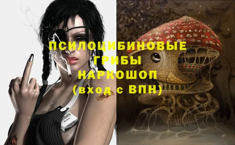 Псилоцибиновые грибы Psilocybe  Горнозаводск 